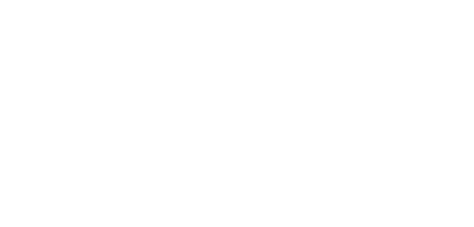 Julien Lieb